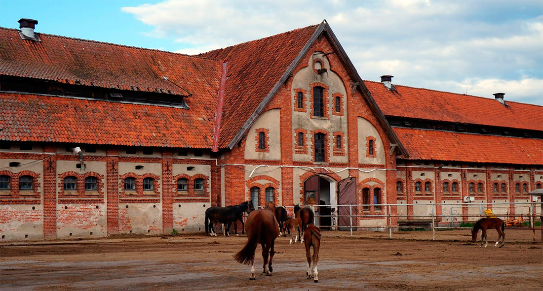 Конезавод «Георгенбург»