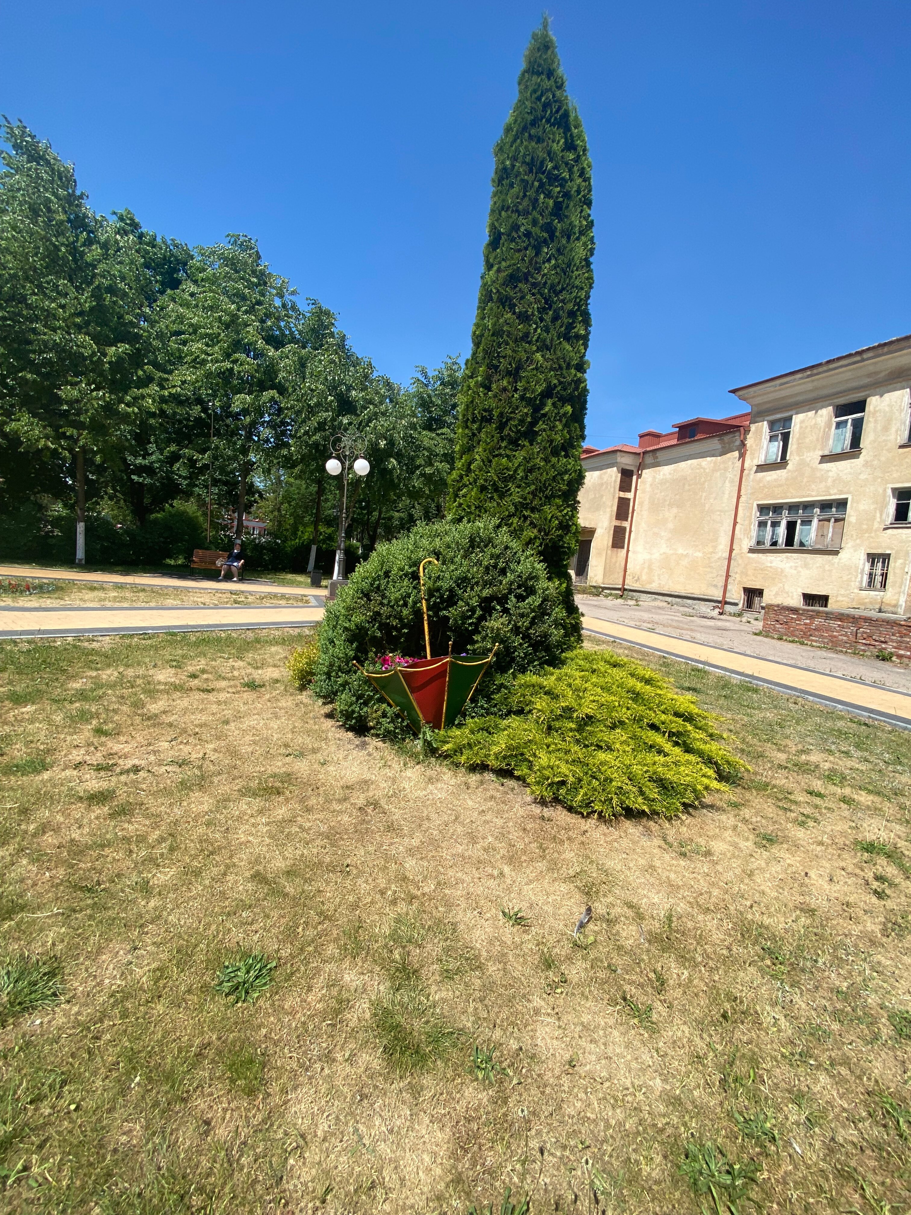 Монетный сад