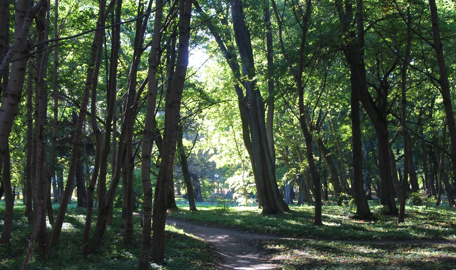 Парк имени Морица Беккера