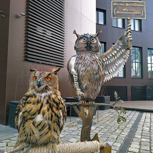 Музей «ФилоСовия»