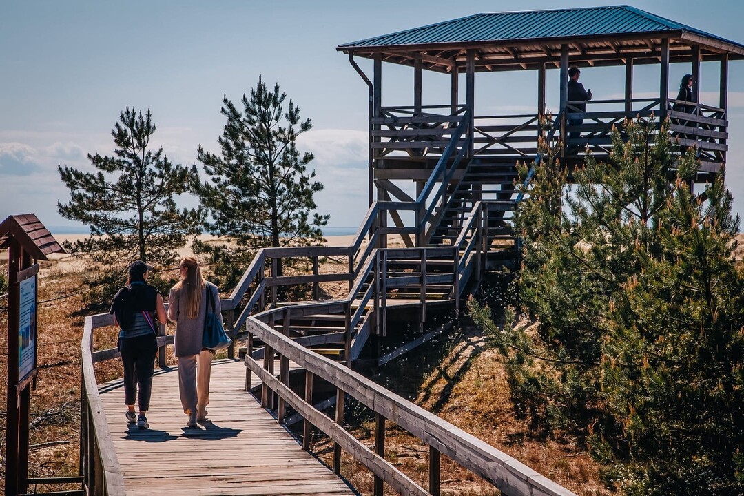 Куршская коса (Танцующий лес, Высота Эфа)