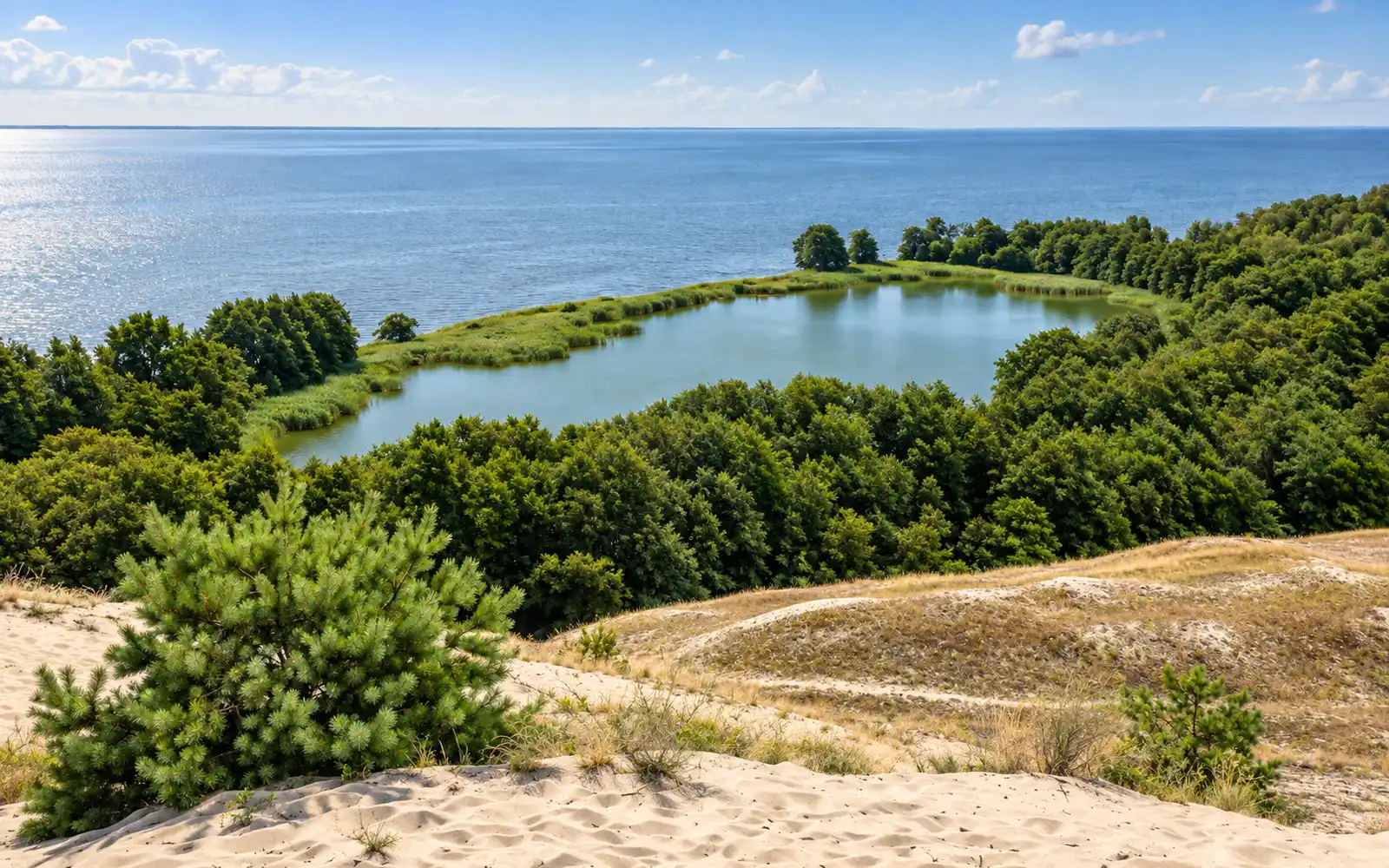 Озеро Лебедь